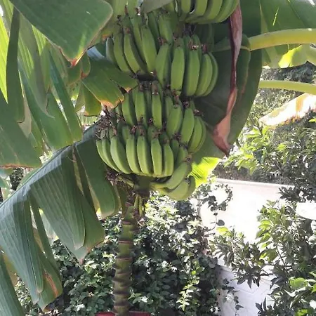 Rota Villalari بيت للعطل